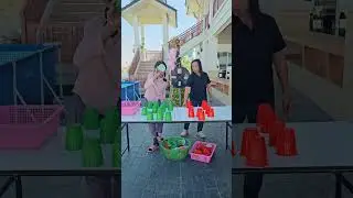 หาบอลสี