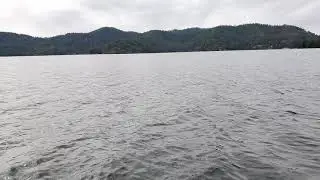 Beautiful Deer Lake Washington