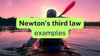 Newton's third law examples