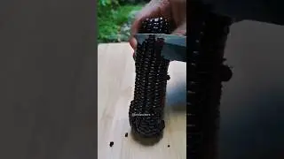 Check out this Chinese unique black corn || Amazing Black corn