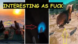 TOP 10  INTERESTING AS FUCK Videos (Must Watch)
