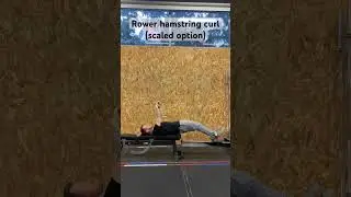 Rower hamstring curl (scaled option)