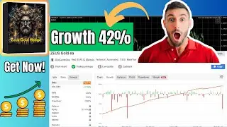 Best EURUSD EA for MT4? Zeus Gold Hedge No DLL Review
