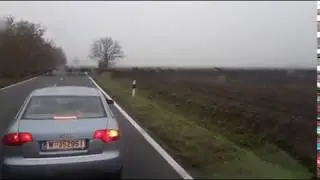 Wildwechsel