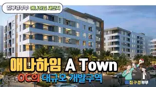 🇺🇸[US House Tour] Anaheim's Large-Scale Development Zone | OC's Downtown Creation Project | Intro...