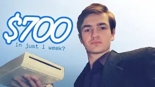 Can I BREAK EVEN In 7 DAYS Selling Wiis?