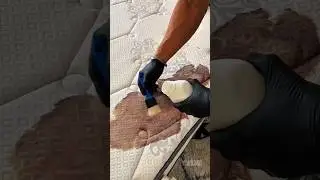 Как пользоваться очистителем ковров Bissell Proheat 2x Revolution Pet Pro