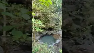 Hawaii 2022 Waimanu Falls trail