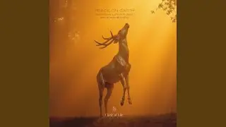 Peace on Earth (Dole & Kom Remix)