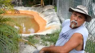 Types of Crocodiles on display at Everglades Alligator Farm.