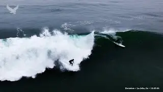 Surfing Horseshoe • La Jolla, Ca • 12 23 24 HD