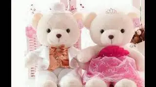 Cute teddy bear 💞love status Whatsapp/special/teddy bear love status 💞
