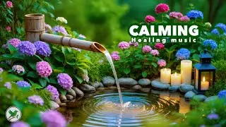 Stress Relief Piano Music with Gentle Water Sounds 🌿 Healing Zen Garden