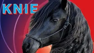 Circus Knie: La Grande Tradizione Equestre (Posta Ungherese) Agno 2025