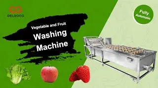 Customized Vegetable and Fruit Washing Machine