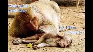 You Cry Non Stop Pity Poor Baby Daniela And Mum | Mum Dana Try Call Baby Weak Up And Get Her Hug
