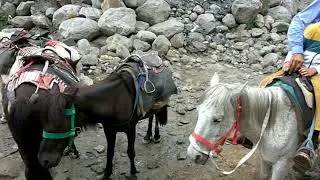 Best fun places to visit in Manali 2019 || Latest[kullu, sholang, manikaran]