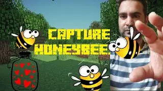 HOW TO CAPTURE A HONEYBEE SWARM honey bee beekeeping bees