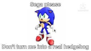 Sega please Don&rsquo;t turn me into a real hedgehog (Sonic)