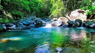 Mountain Spring Stream Sounds, Pure Nature Water Ambience