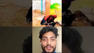 ईगल vs कोक #shots #viralvideo #cooking #usa #like #anmals #youtubeshorts #reels #instago #viralreels