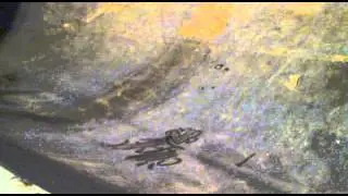 03032012018.mp4