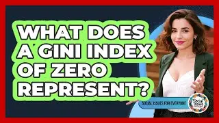 What Does a Gini Index of Zero Represent?