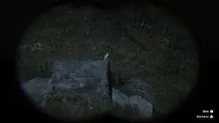 Red Dead Redemption 2 Coastal Horned Owl Location