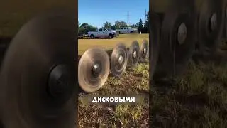 Одна ветка стоила 6 МИЛЛИАРДОВ 😨🔥💸