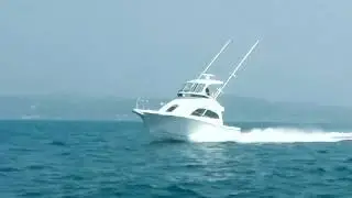 Luxury Motor Yacht by New Japan Marine