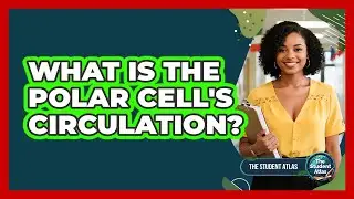 What Is the Polar Cell's Circulation?