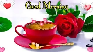Good Morning status  , 🌹Good Morning shayari,🌹Good Morning video ,🌹 Good Morning 