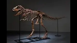 The First Dinosaur Bones: A Journey into Prehistory