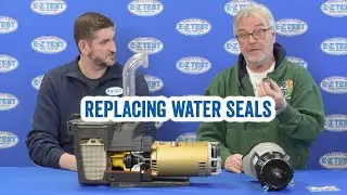 Swimming Pool Talk | Ep.8 | Leaking Pool Pump Motors & Replacing Water Seals