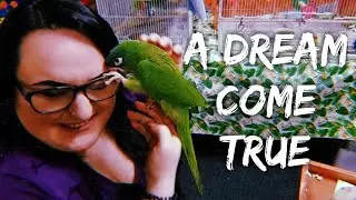 VLOG | GOING TO THE BIRD LOFT + A DREAM COME TRUE | KELS.LITTLE.ZOO