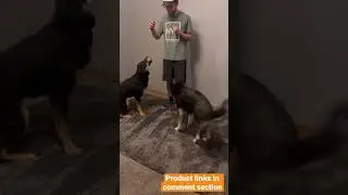 My favorite dog training treats from amazon!