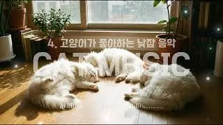 고양이가 좋아하는 낮잠 음악 2시간｜낮 시간 휴식·편안한 안정 유도｜차분하고 부드러운 힐링 BGM