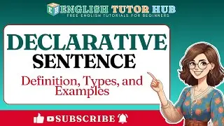 Declarative Sentence: Definition, Types, and Examples