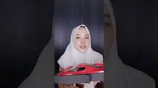 ANTI TIKUS COVER MOBIL WELLTECH No. 1 DUNIA Mobil Mewah, Perlindungan Maksimal!Jangan biarkan tikus