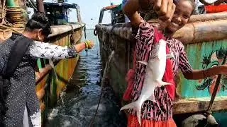 village fishing videos | amazing fishing videos | girl fishing | course fishing | match fishing