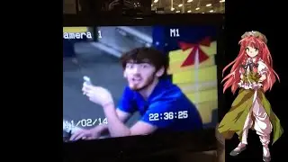 Touhou Characters Portrayed By Vines & Memes (19)