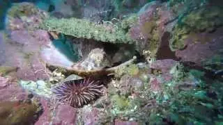 Stillwater Cove & Caves