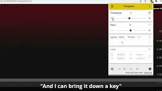 Transpose Extension with Spotify