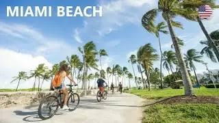 Miami Walking Tour (Part 2)
