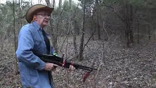 Is This The Best Way To Cut Down A Christmas Tree?