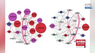 Scientists Discover Human-Specific Genes Linked to Autism