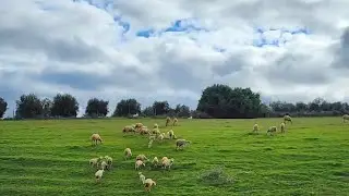 Relaxing music with beautiful pictures of nature in Morocco 🇲🇦 