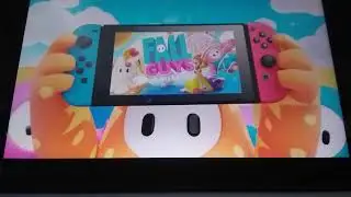 reaction to Fallguys coming to Nintendo Switch