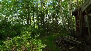 Getting closer &bull; Carol Reed &bull; Quarantine Diary &bull; Soft spoken ASMR