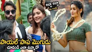 See The Payal Rajput With Her Husband Visuals at Karthikeya Wedding Yesterday | Its AndhraTv